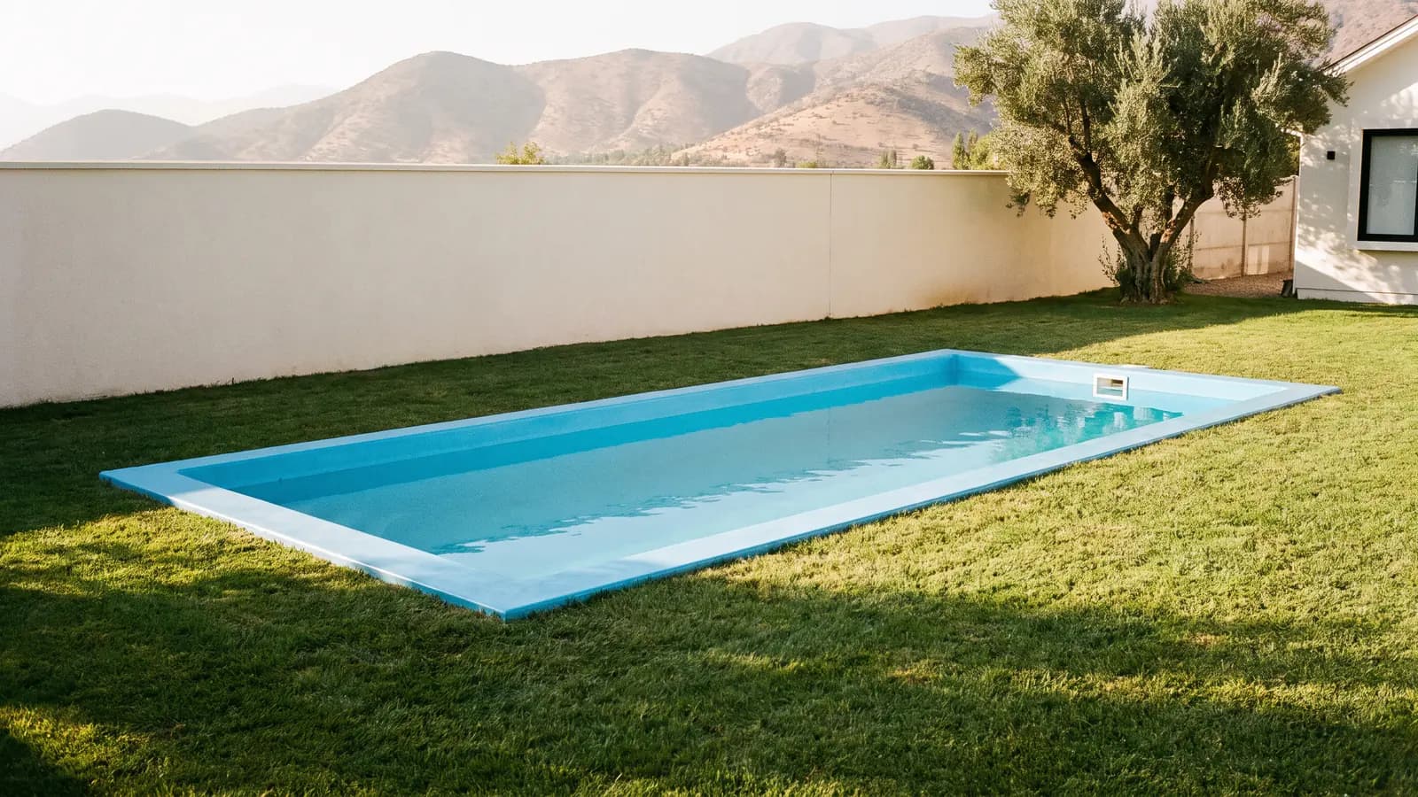 Piscina de fibra de vidrio rectangular llena de agua, en el patio de una casa junto a un olivo